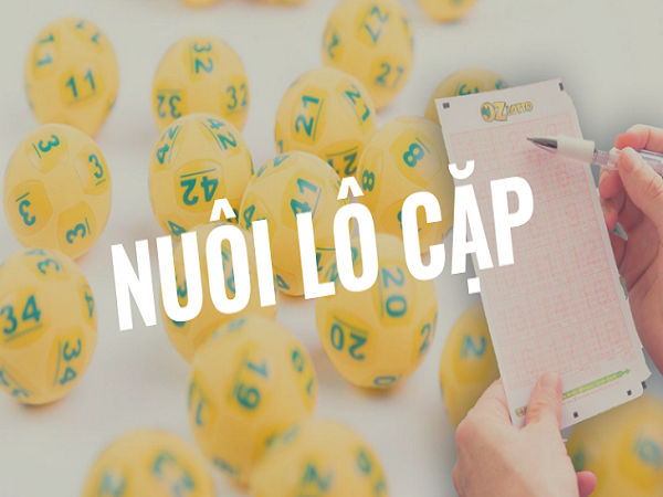 Các cặp Lô hay về cùng nhau nuôi lô cặp